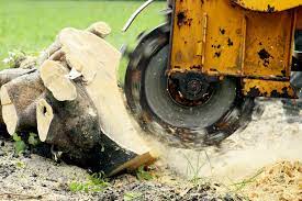 Stump Grinding and Removal in El Dorado Hills CA