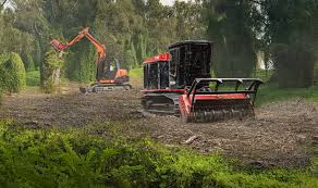 Land Clearing in El Dorado Hills CA