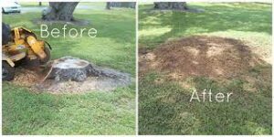 Stump Grinding and Removal services El Dorado Hills CA